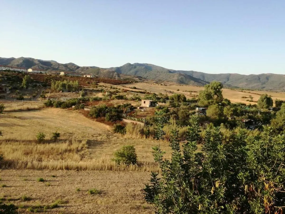 Casa Vacanza Il Mandorlo Domusnovas