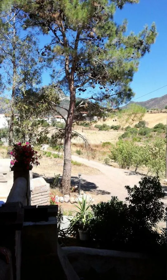 Casa Vacanza Il Mandorlo Domusnovas