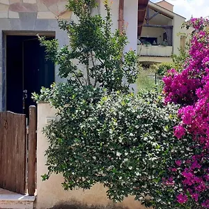8 Via V. Monti Casa vacanze